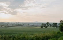 DSC01237