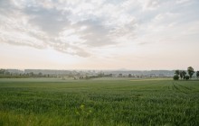DSC01240