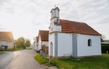 DSC01251