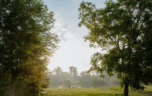 DSC01275