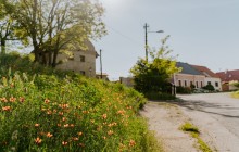 DSC01967