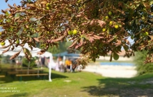 IMG_20210904_104429